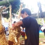 Pemotongan daging kurban