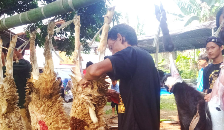 Pemotongan daging kurban