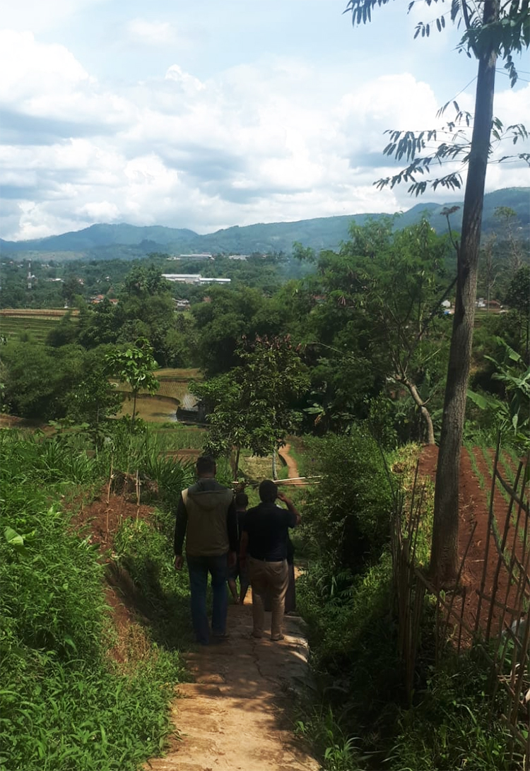 Perjalanan menuju sawah